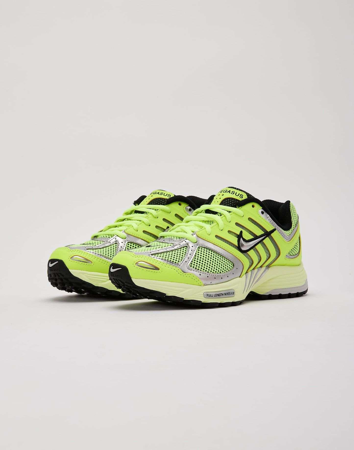 Nike Air Pegasus 2005